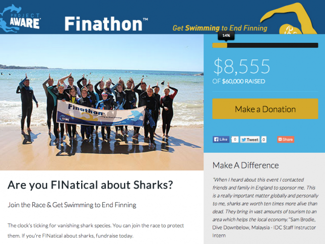 Finathon_site_editor_tool
