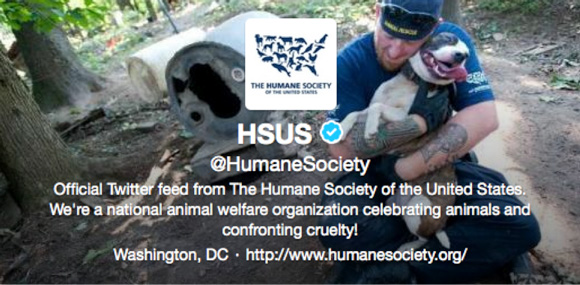 Humane Society Twitter Header