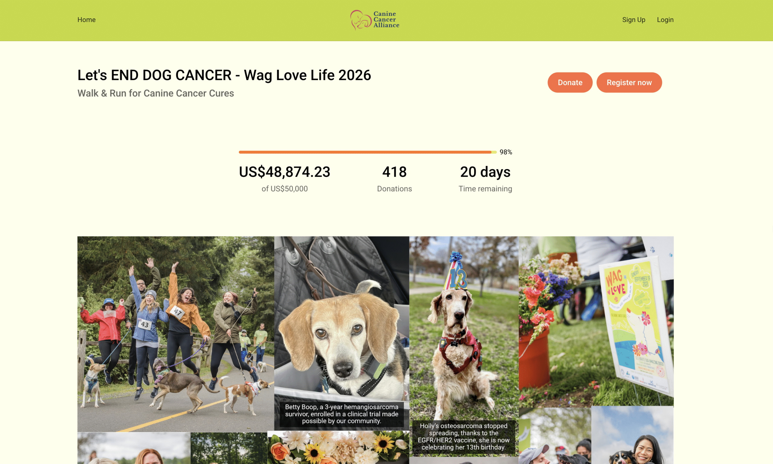 wag-love-fundraising-campaign-page