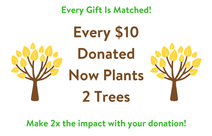 matching-gifts