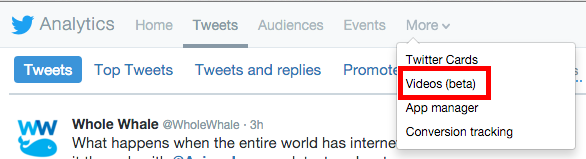 twitter-analytics-more-tab
