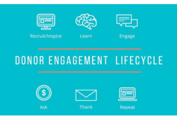 The Ultimate Guide to the Donor Cultivation Cycle [2024]