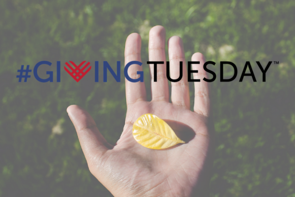 5 Things Every Successful #GivingTuesday Campaign On CauseVox Has In Common