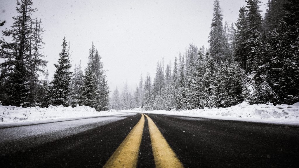 An open road surrounded by snowy trees