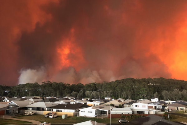 4 Charities To Donate To For The Australian Wildfires