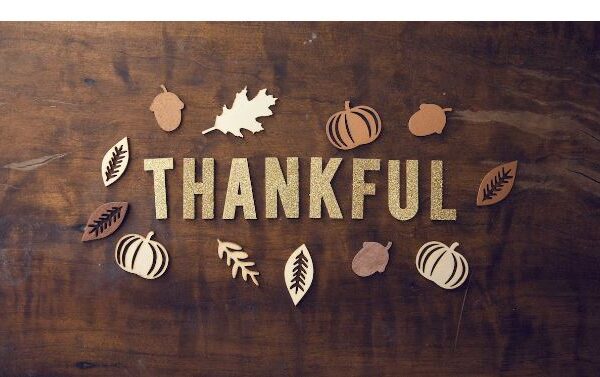 14 Ways To Thank Donors During Thanksgiving