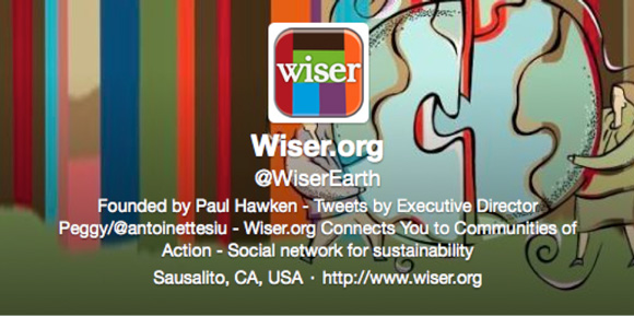 Wiser Earth Twitter Header